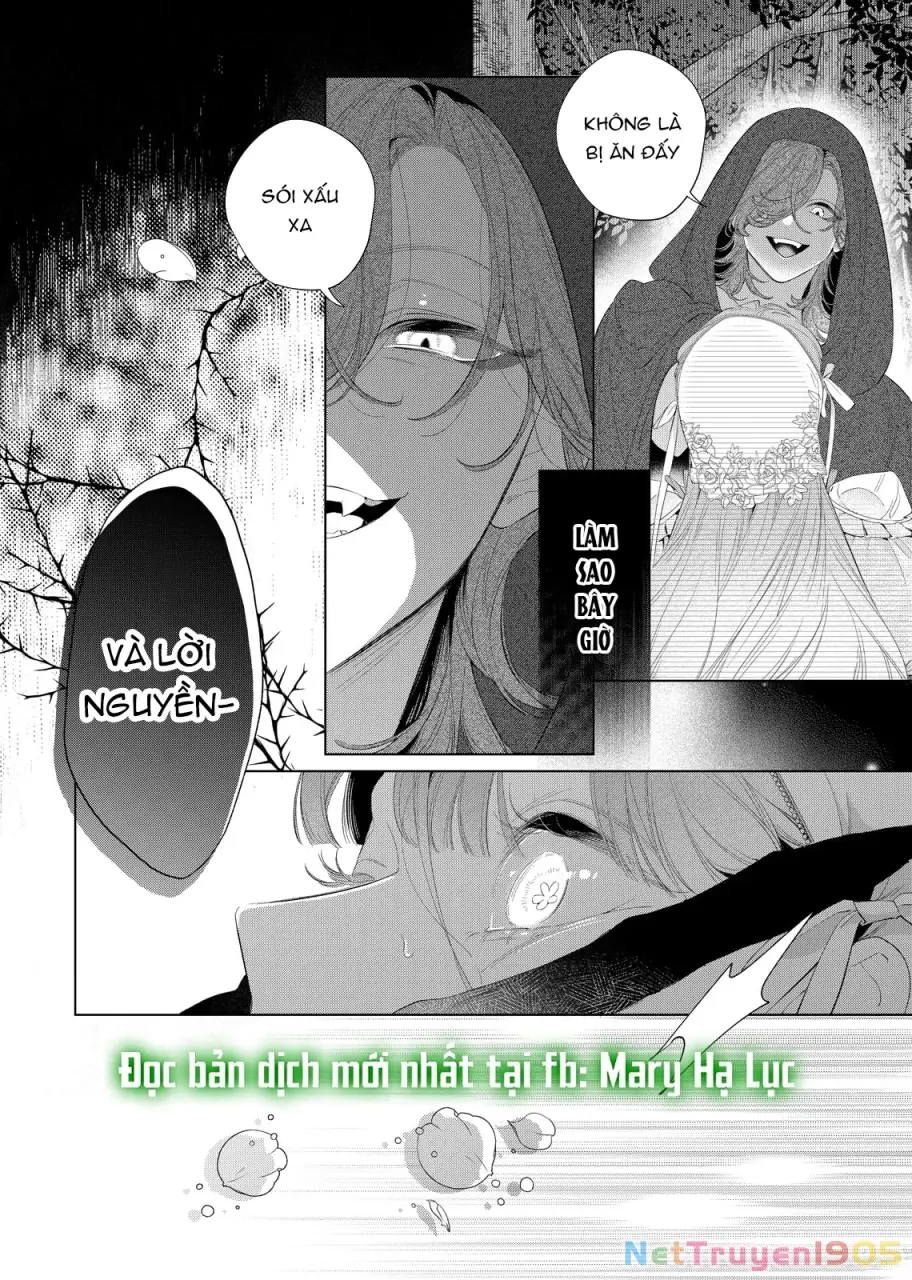 Sao Băng Ẩn Trong Hoa Chapter 29.1 - Trang 13