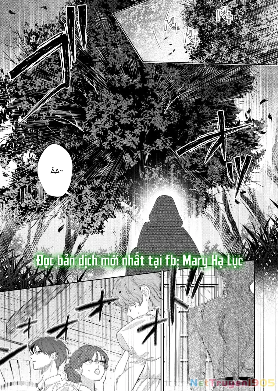 Sao Băng Ẩn Trong Hoa Chapter 29.1 - Trang 18