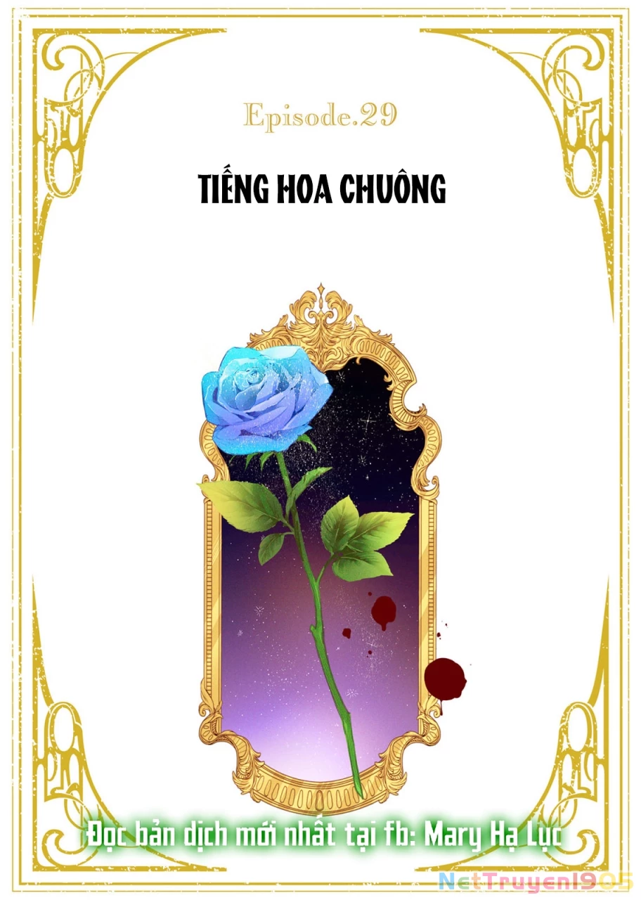 Sao Băng Ẩn Trong Hoa Chapter 29.1 - Trang 3