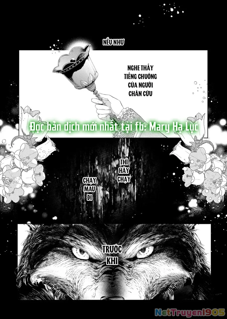 Sao Băng Ẩn Trong Hoa Chapter 29.1 - Trang 4