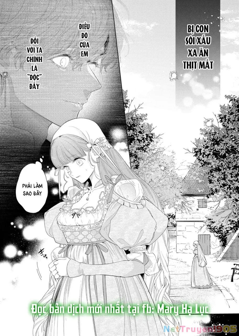 Sao Băng Ẩn Trong Hoa Chapter 29.1 - Trang 5
