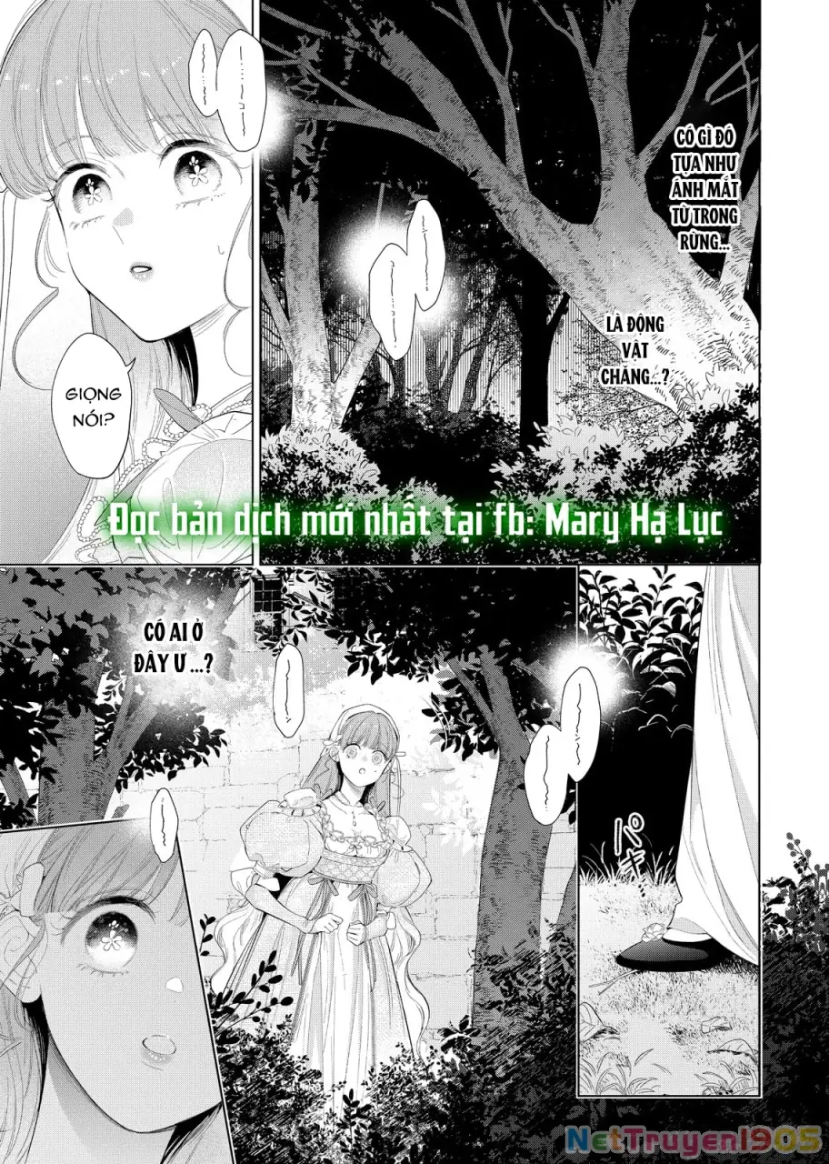 Sao Băng Ẩn Trong Hoa Chapter 29.1 - Trang 8