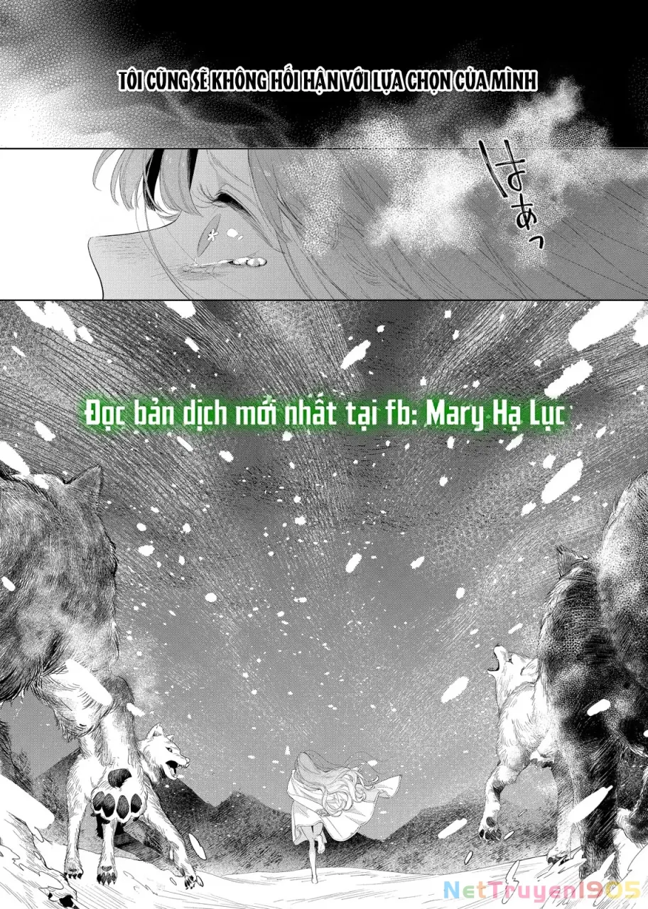 Sao Băng Ẩn Trong Hoa Chapter 29.2 - Trang 17