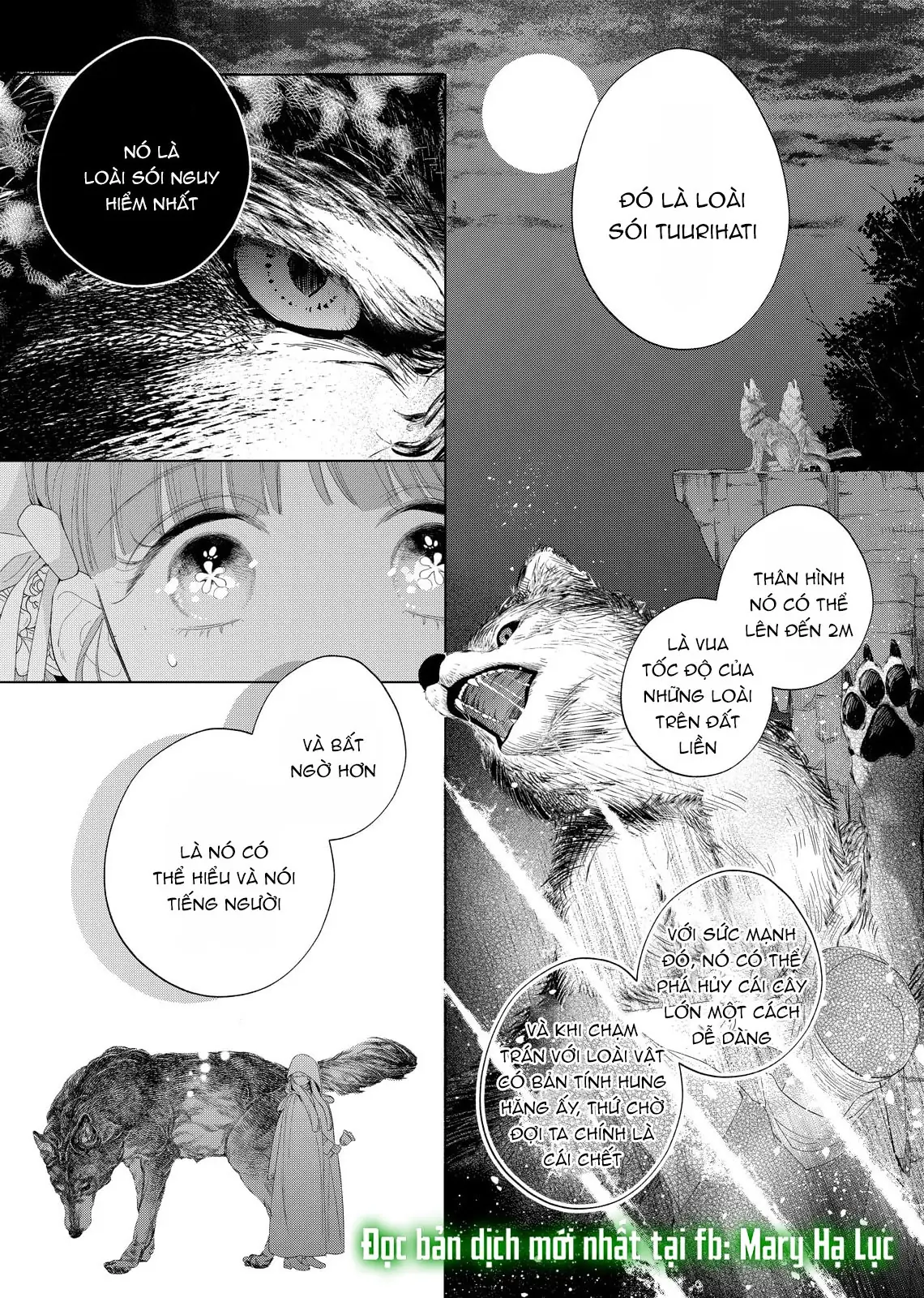 Sao Băng Ẩn Trong Hoa Chapter 30.1 - Trang 12