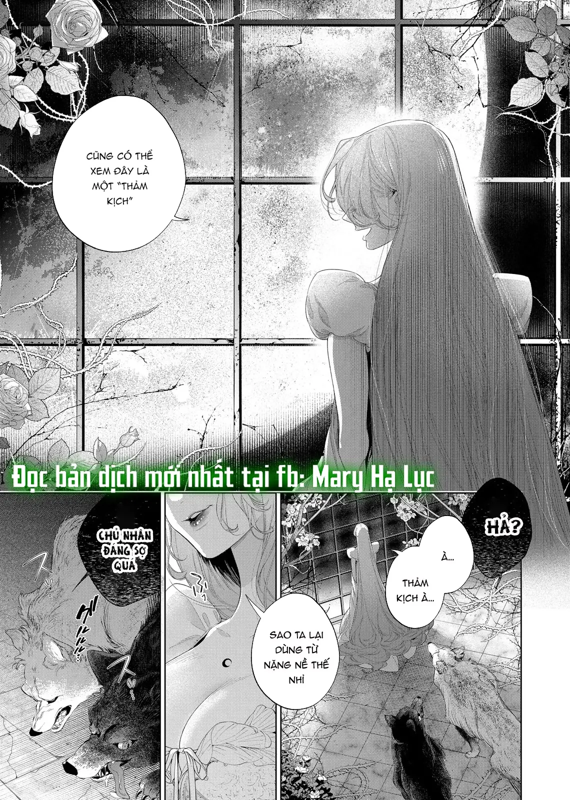 Sao Băng Ẩn Trong Hoa Chapter 31.1 - Trang 10