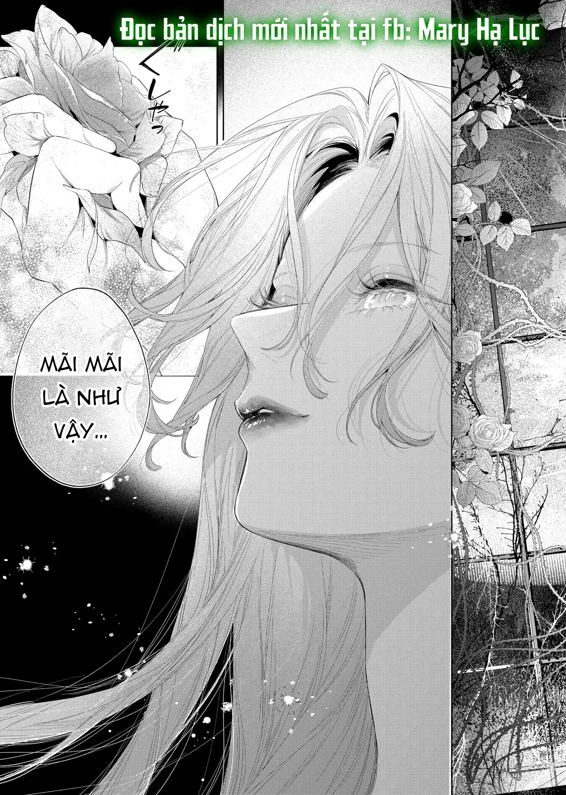 Sao Băng Ẩn Trong Hoa Chapter 31.1 - Trang 12