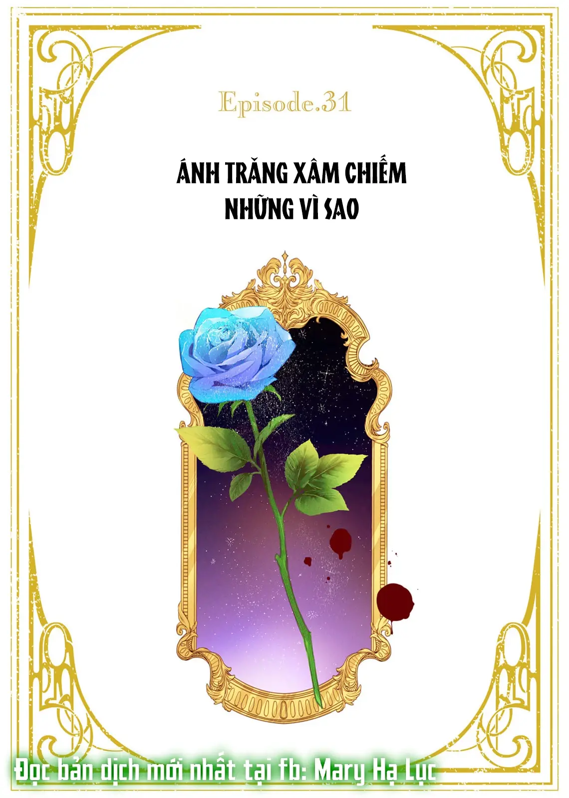 Sao Băng Ẩn Trong Hoa Chapter 31.1 - Trang 3