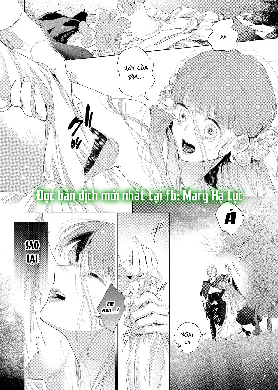 Sao Băng Ẩn Trong Hoa Chapter 32.1 - Trang 11