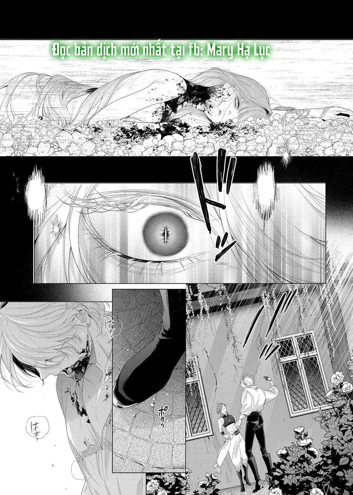 Sao Băng Ẩn Trong Hoa Chapter 32.2 - Trang 17