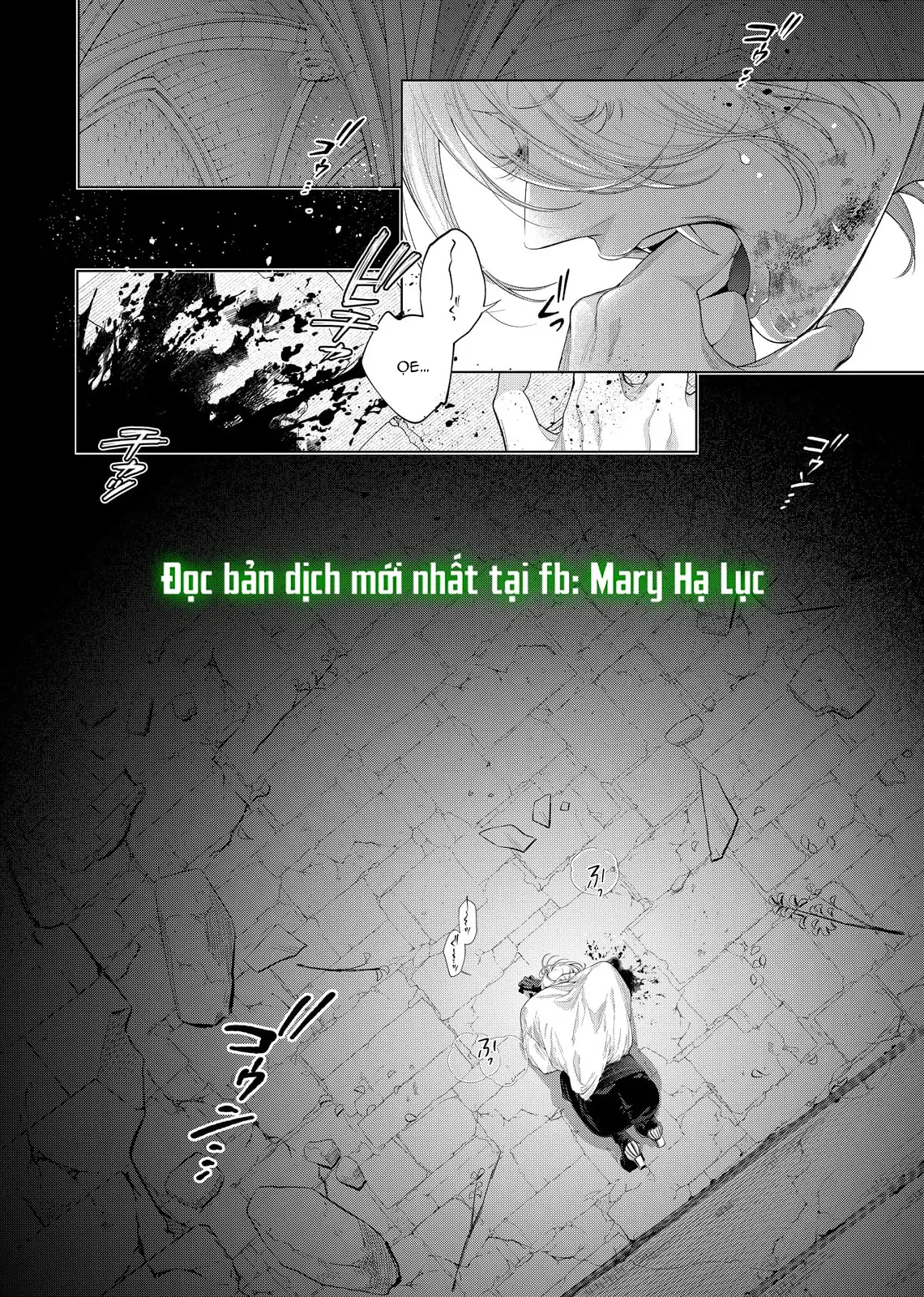 Sao Băng Ẩn Trong Hoa Chapter 33.1 - Trang 4