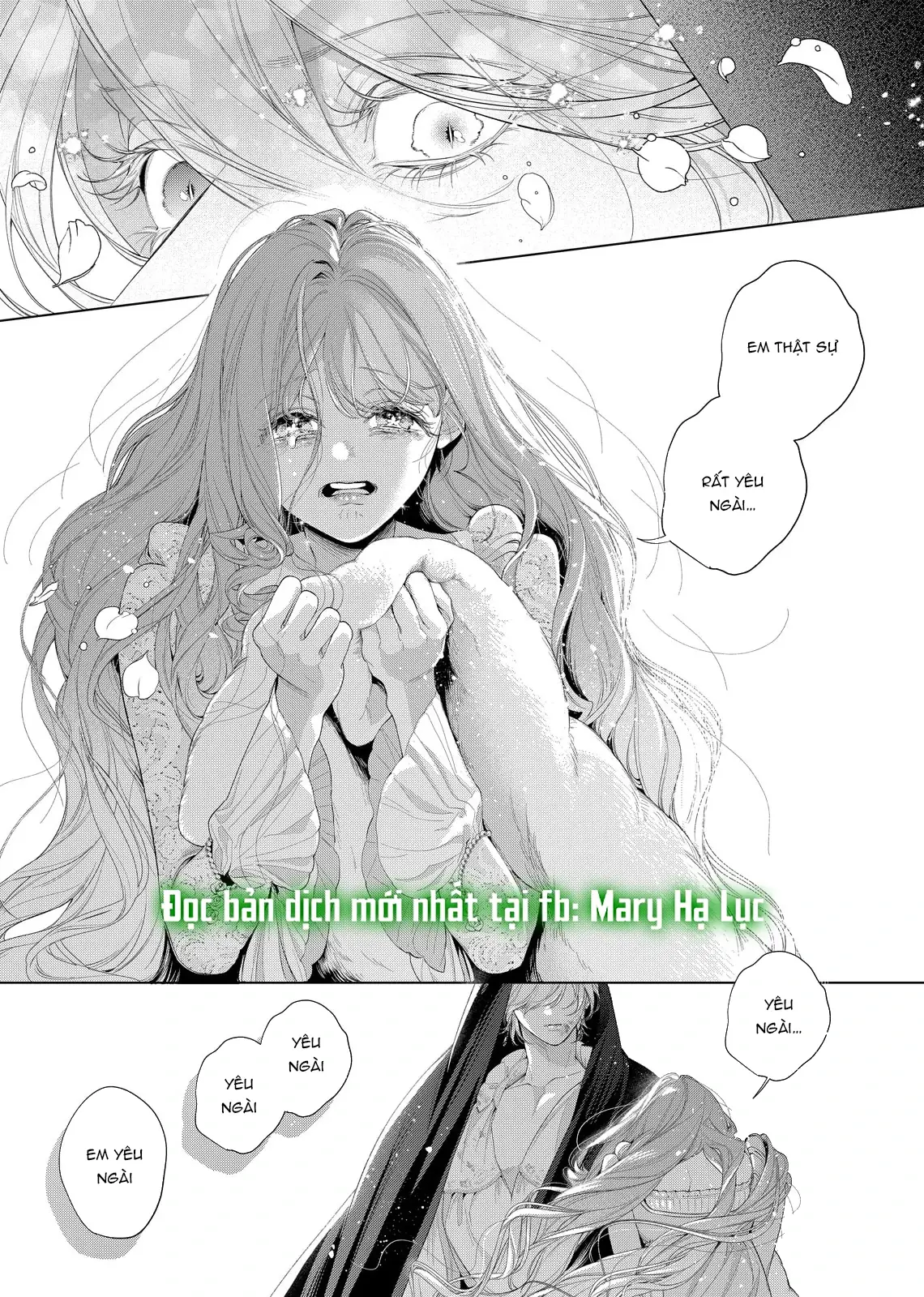 Sao Băng Ẩn Trong Hoa Chapter 33.2 - Trang 22