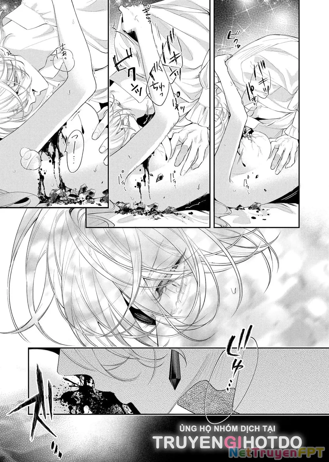 Sao Băng Ẩn Trong Hoa Chapter 8.1 - Trang 10
