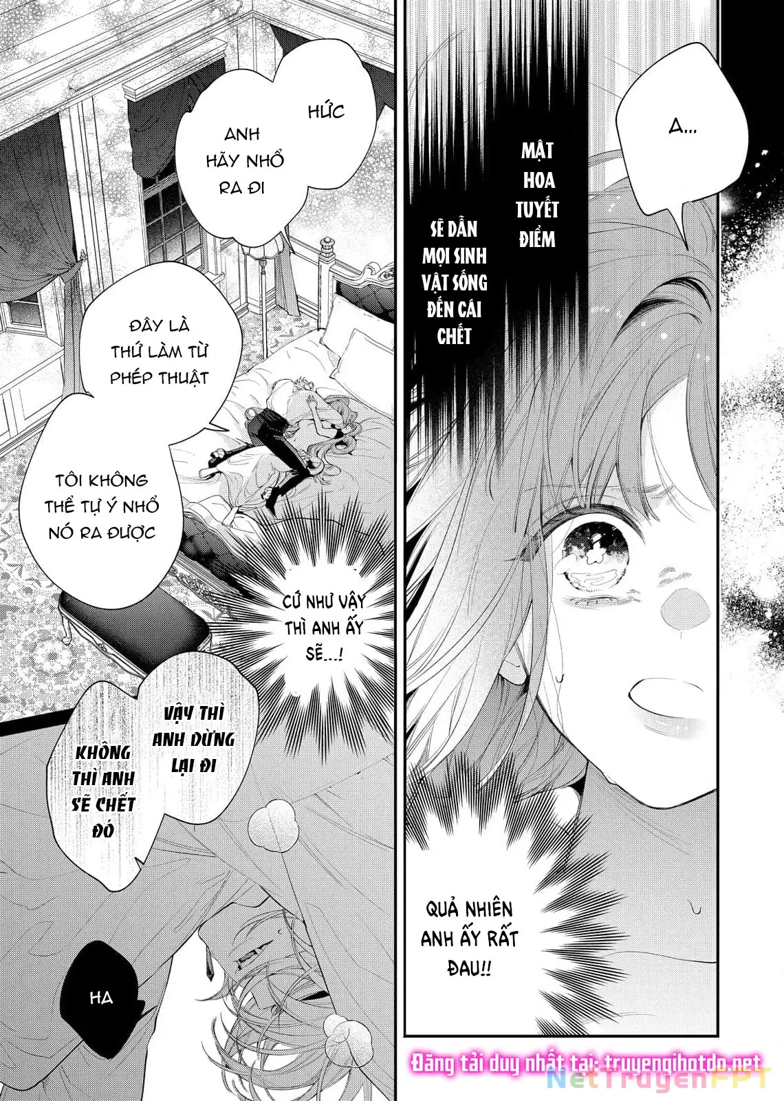 Sao Băng Ẩn Trong Hoa Chapter 8.1 - Trang 12