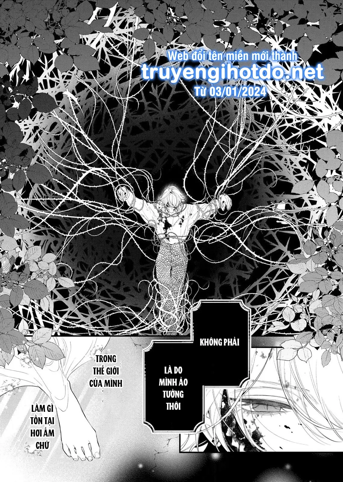 Sao Băng Ẩn Trong Hoa Chapter 8.1 - Trang 17