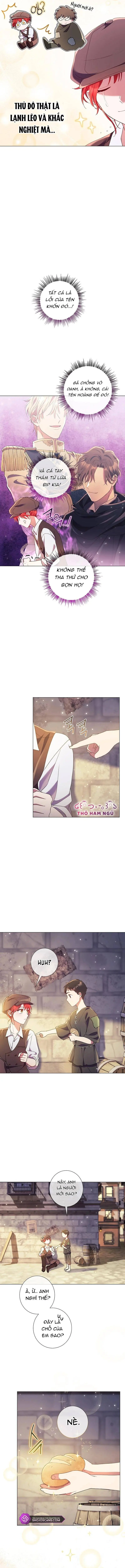 Sao Tôi Có Thể Li Hôn Khi Còn Chưa Kết Hôn Đây, Thưa Bệ Hạ Chapter 12 - Trang 5