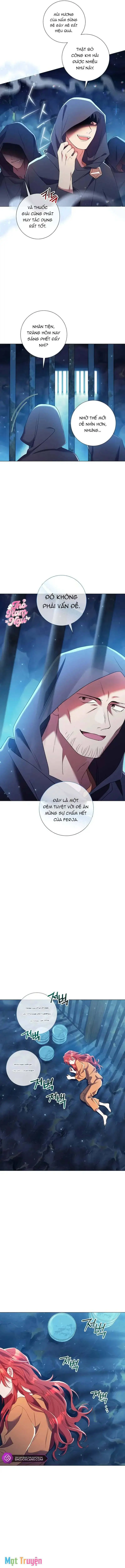 Sao Tôi Có Thể Li Hôn Khi Còn Chưa Kết Hôn Đây, Thưa Bệ Hạ Chapter 13 - Trang 4