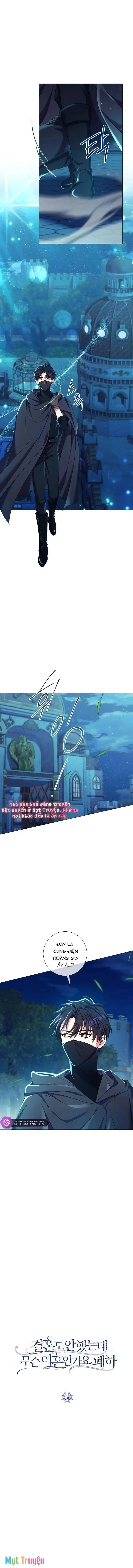 Sao Tôi Có Thể Li Hôn Khi Còn Chưa Kết Hôn Đây, Thưa Bệ Hạ Chapter 14 - Trang 1