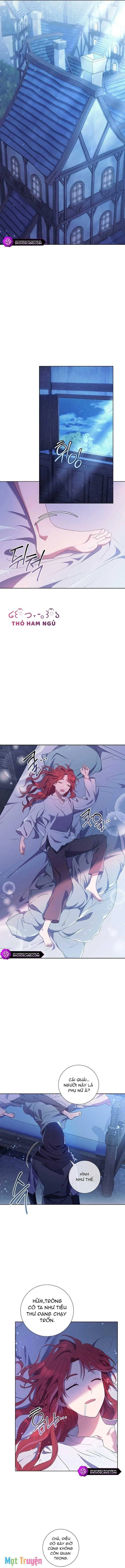 Sao Tôi Có Thể Li Hôn Khi Còn Chưa Kết Hôn Đây, Thưa Bệ Hạ Chapter 2 - Trang 11