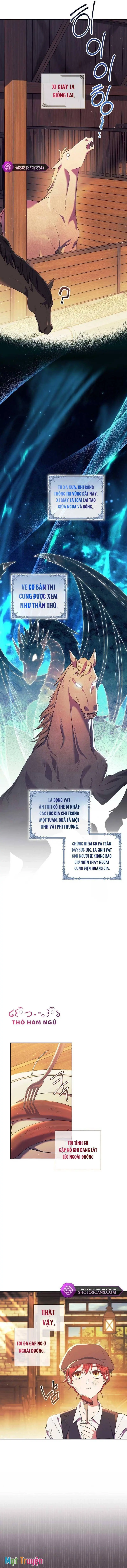 Sao Tôi Có Thể Li Hôn Khi Còn Chưa Kết Hôn Đây, Thưa Bệ Hạ Chapter 2 - Trang 5
