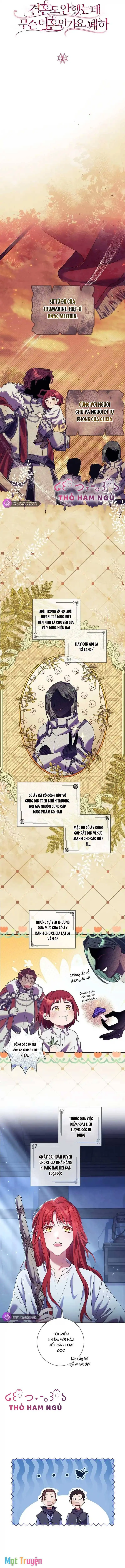 Sao Tôi Có Thể Li Hôn Khi Còn Chưa Kết Hôn Đây, Thưa Bệ Hạ Chapter 3 - Trang 3