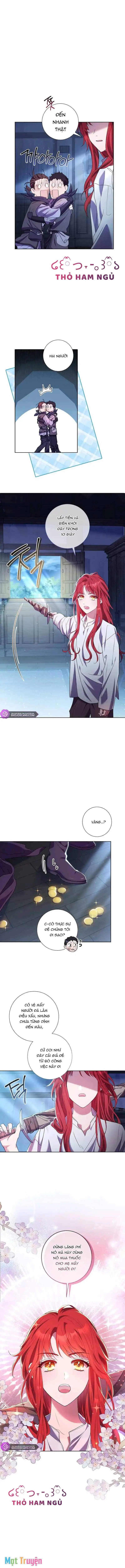 Sao Tôi Có Thể Li Hôn Khi Còn Chưa Kết Hôn Đây, Thưa Bệ Hạ Chapter 3 - Trang 5