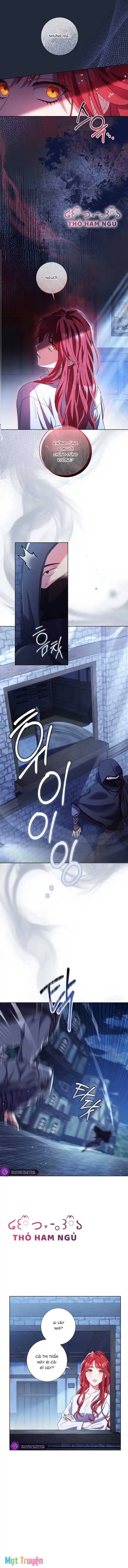Sao Tôi Có Thể Li Hôn Khi Còn Chưa Kết Hôn Đây, Thưa Bệ Hạ Chapter 3 - Trang 8