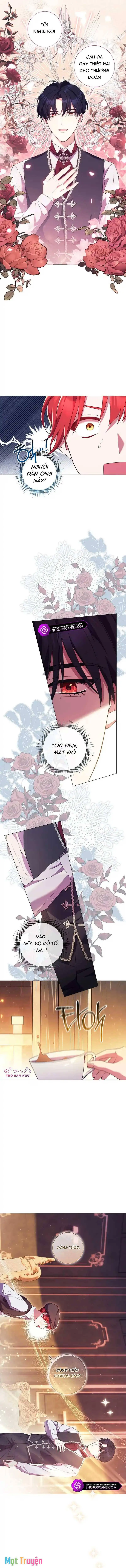 Sao Tôi Có Thể Li Hôn Khi Còn Chưa Kết Hôn Đây, Thưa Bệ Hạ Chapter 6 - Trang 8