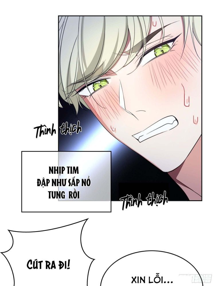Sắp Bị Ăn Thịt Rồi! Chapter 83 - Trang 17