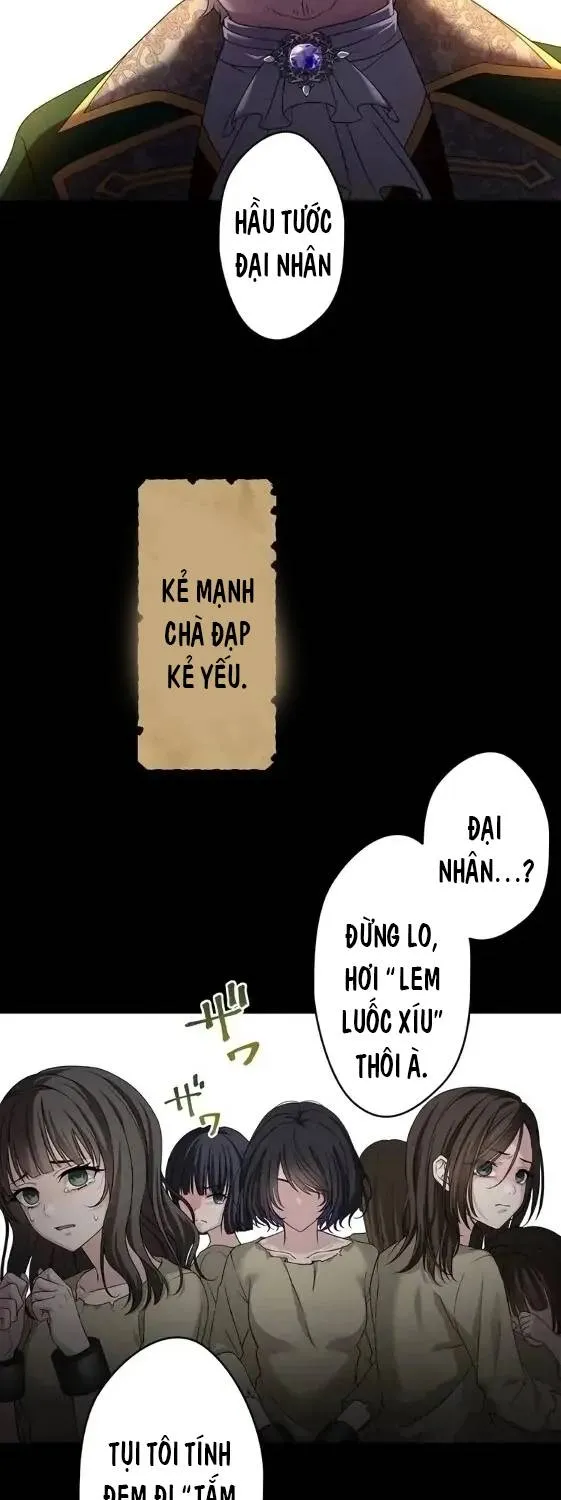 Sát Thủ Chuyển Sinh Làm Ái Nữ Hoàng Gia Chapter 1 - Trang 6