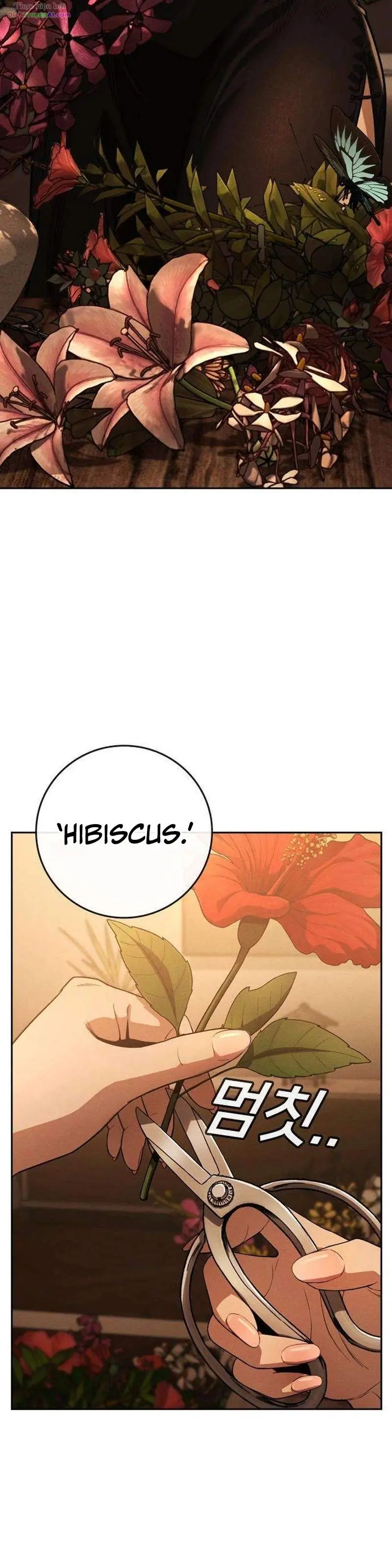 Sát Thủ Nhập Học Chapter 6 - Trang 4