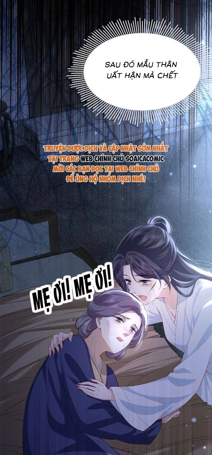 Sau Khi Báo Thù Tỷ Tỷ Ta Làm Hoàng Tử Phi Chapter 1 - Trang 25