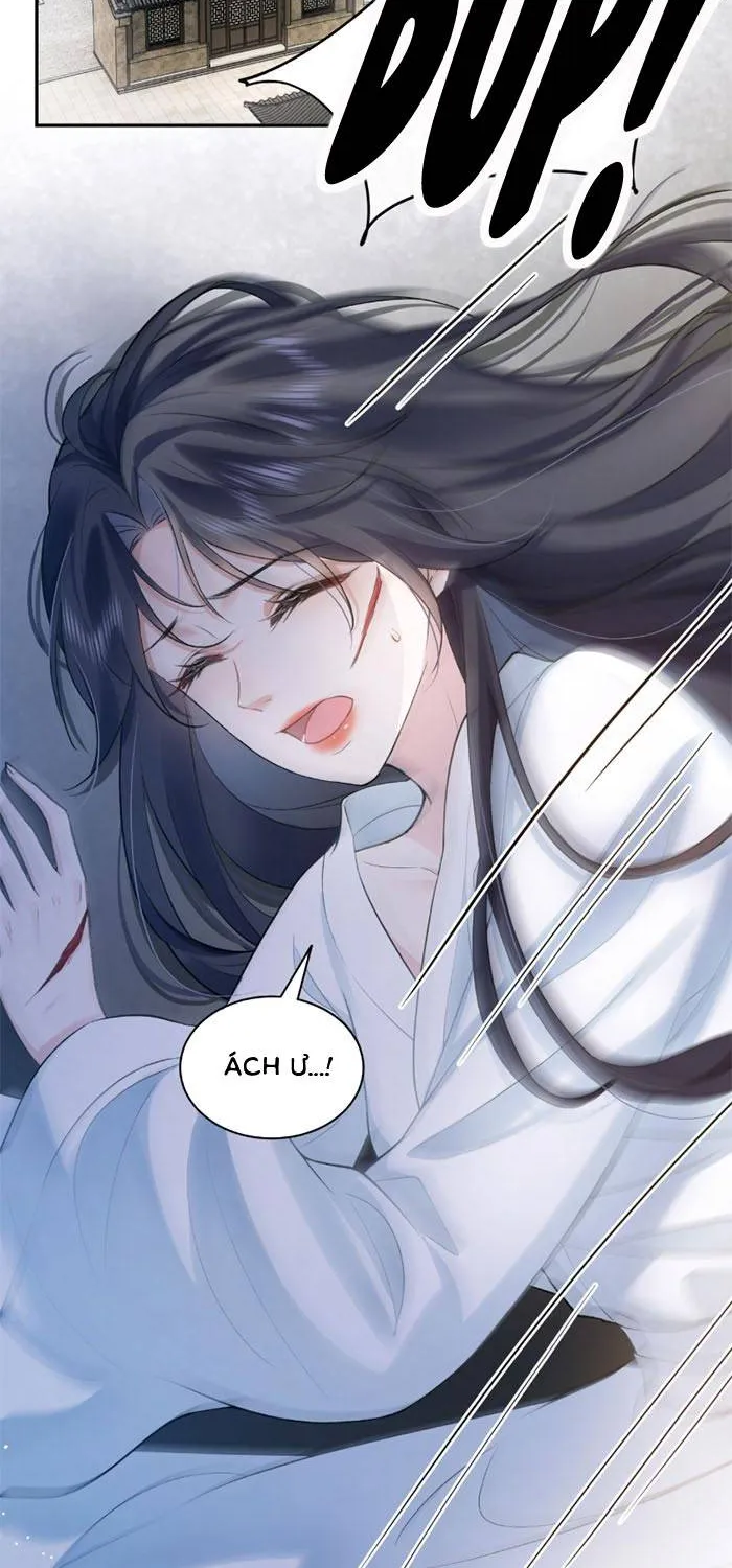 Sau Khi Báo Thù Tỷ Tỷ Ta Làm Hoàng Tử Phi Chapter 1 - Trang 3