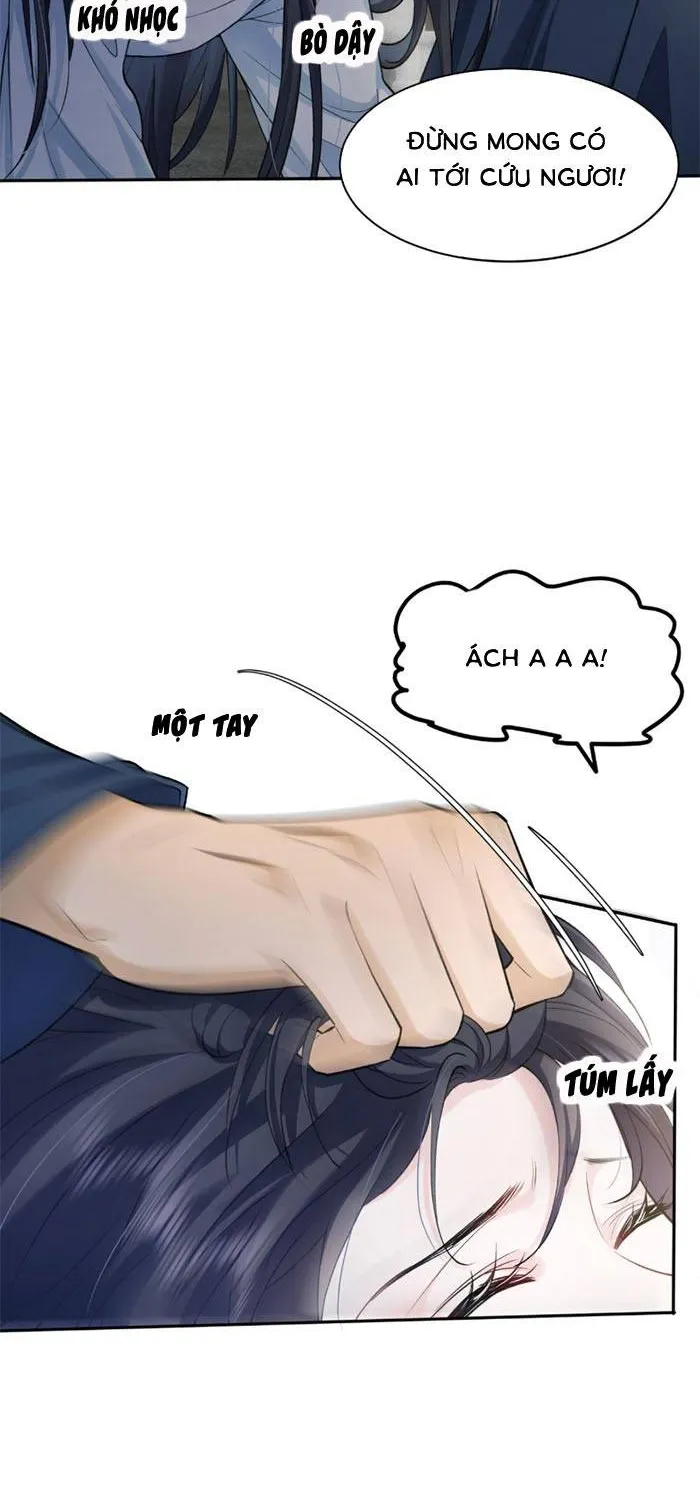 Sau Khi Báo Thù Tỷ Tỷ Ta Làm Hoàng Tử Phi Chapter 1 - Trang 5