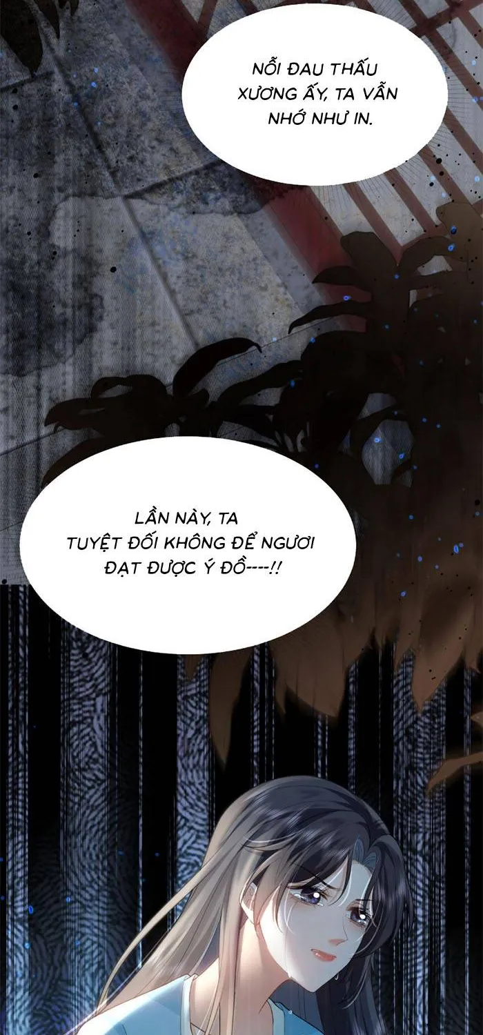 Sau Khi Báo Thù Tỷ Tỷ Ta Làm Hoàng Tử Phi Chapter 1 - Trang 50