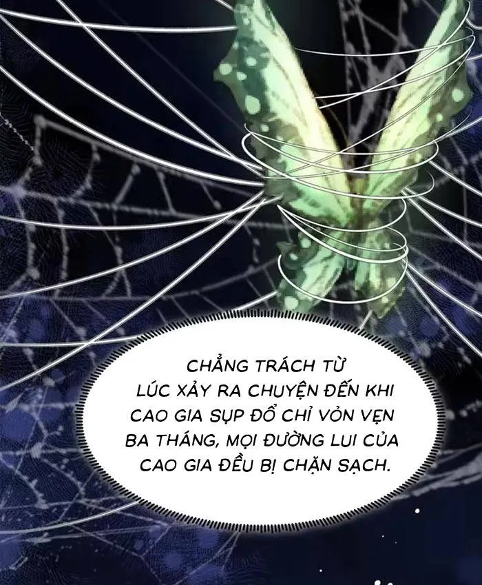 Sau Khi Báo Thù Tỷ Tỷ Ta Làm Hoàng Tử Phi Chapter 10 - Trang 12