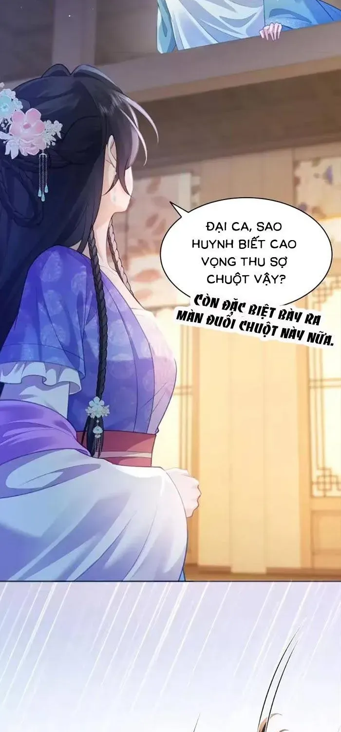 Sau Khi Báo Thù Tỷ Tỷ Ta Làm Hoàng Tử Phi Chapter 13 - Trang 12