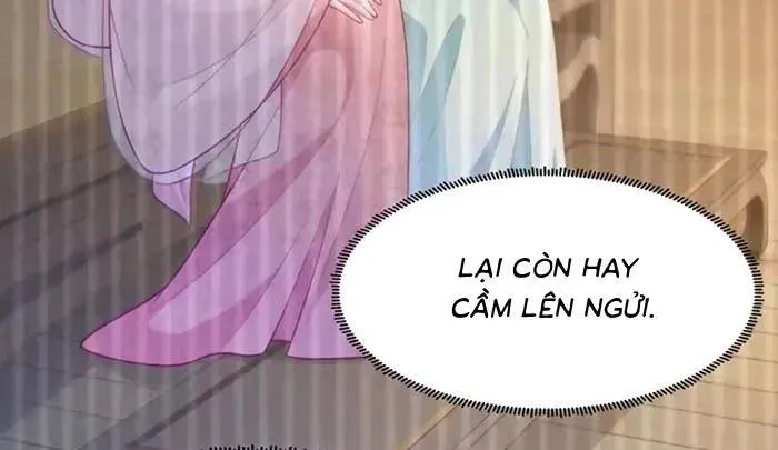 Sau Khi Báo Thù Tỷ Tỷ Ta Làm Hoàng Tử Phi Chapter 13 - Trang 23