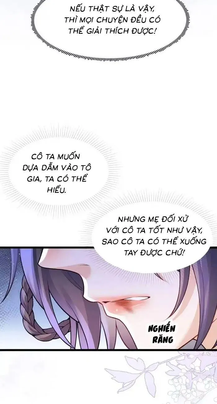 Sau Khi Báo Thù Tỷ Tỷ Ta Làm Hoàng Tử Phi Chapter 13 - Trang 27