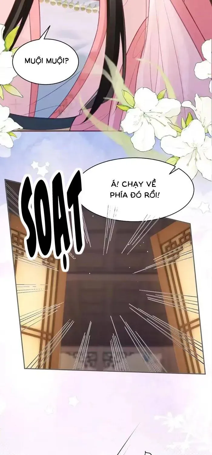 Sau Khi Báo Thù Tỷ Tỷ Ta Làm Hoàng Tử Phi Chapter 13 - Trang 3