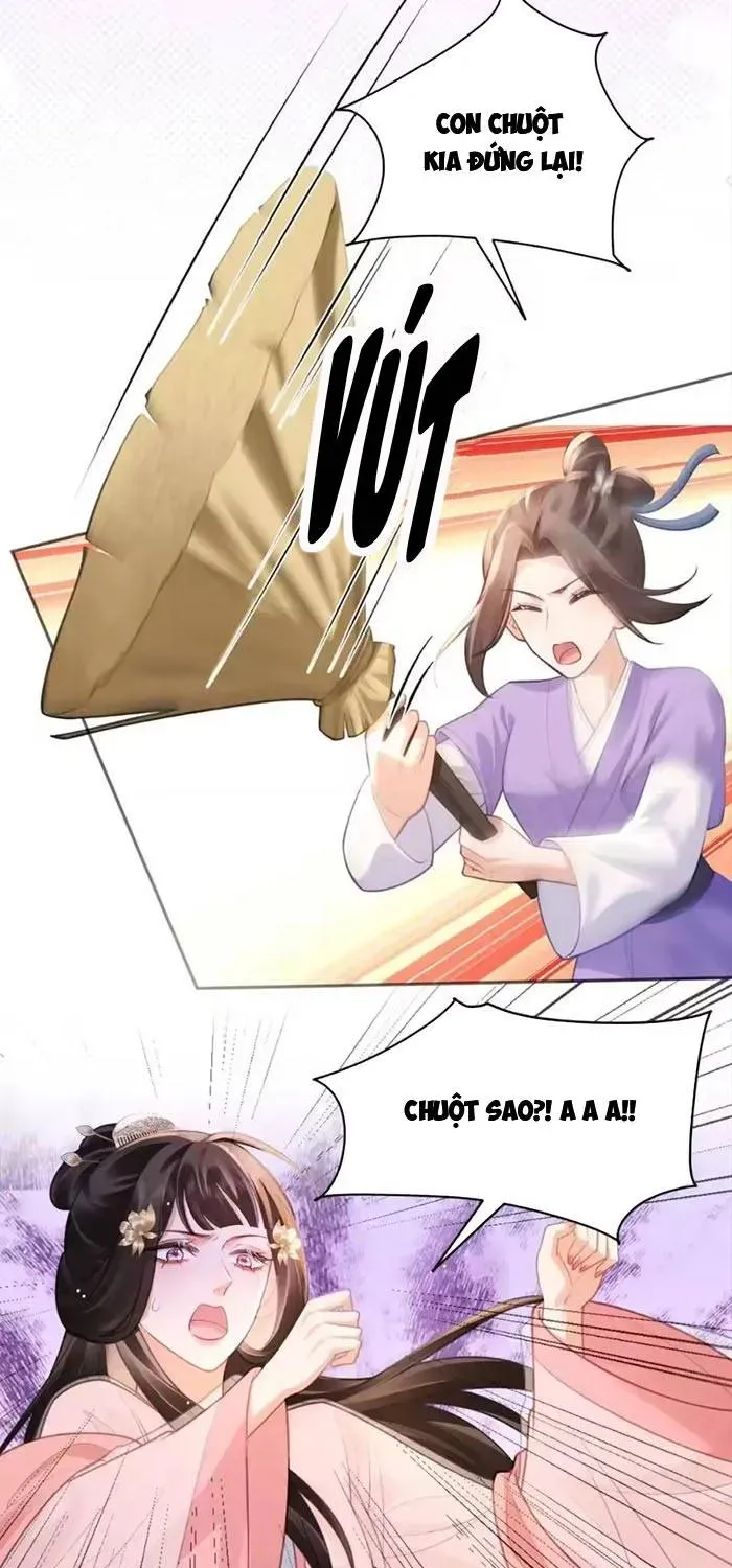 Sau Khi Báo Thù Tỷ Tỷ Ta Làm Hoàng Tử Phi Chapter 13 - Trang 4