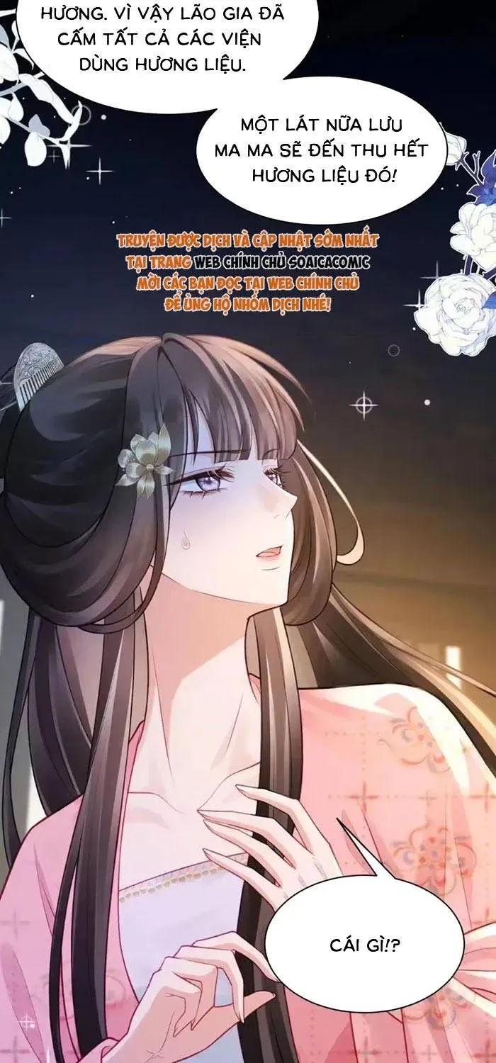 Sau Khi Báo Thù Tỷ Tỷ Ta Làm Hoàng Tử Phi Chapter 13 - Trang 41