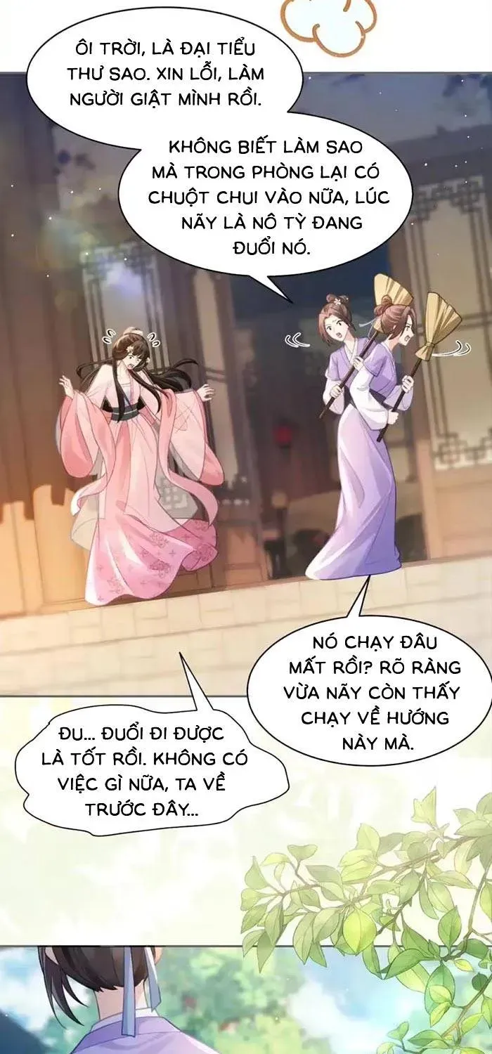 Sau Khi Báo Thù Tỷ Tỷ Ta Làm Hoàng Tử Phi Chapter 13 - Trang 7