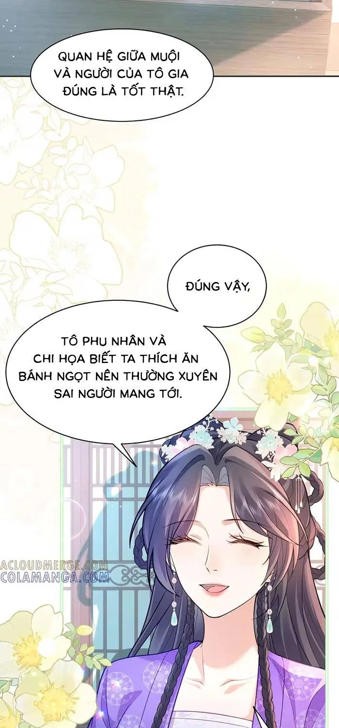 Sau Khi Báo Thù Tỷ Tỷ Ta Làm Hoàng Tử Phi Chapter 17 - Trang 20