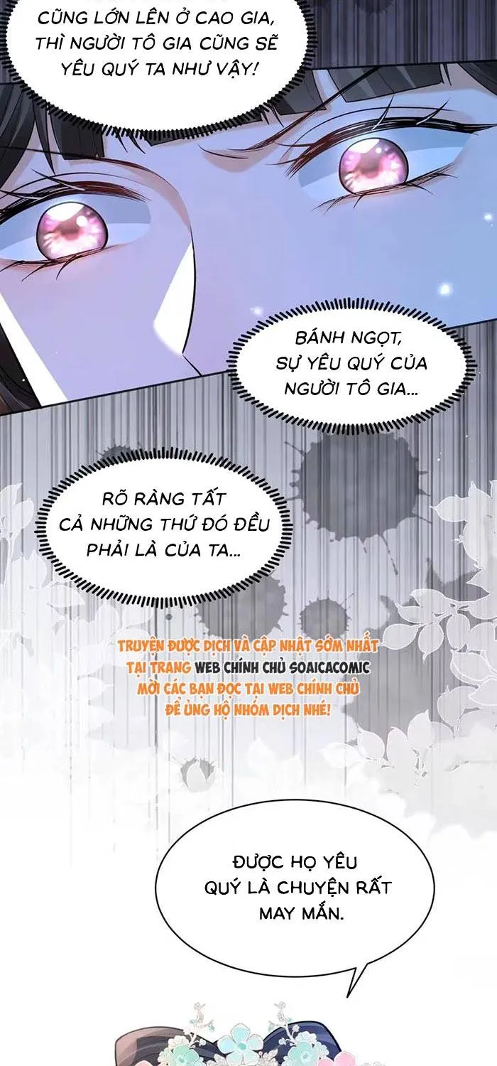 Sau Khi Báo Thù Tỷ Tỷ Ta Làm Hoàng Tử Phi Chapter 17 - Trang 25