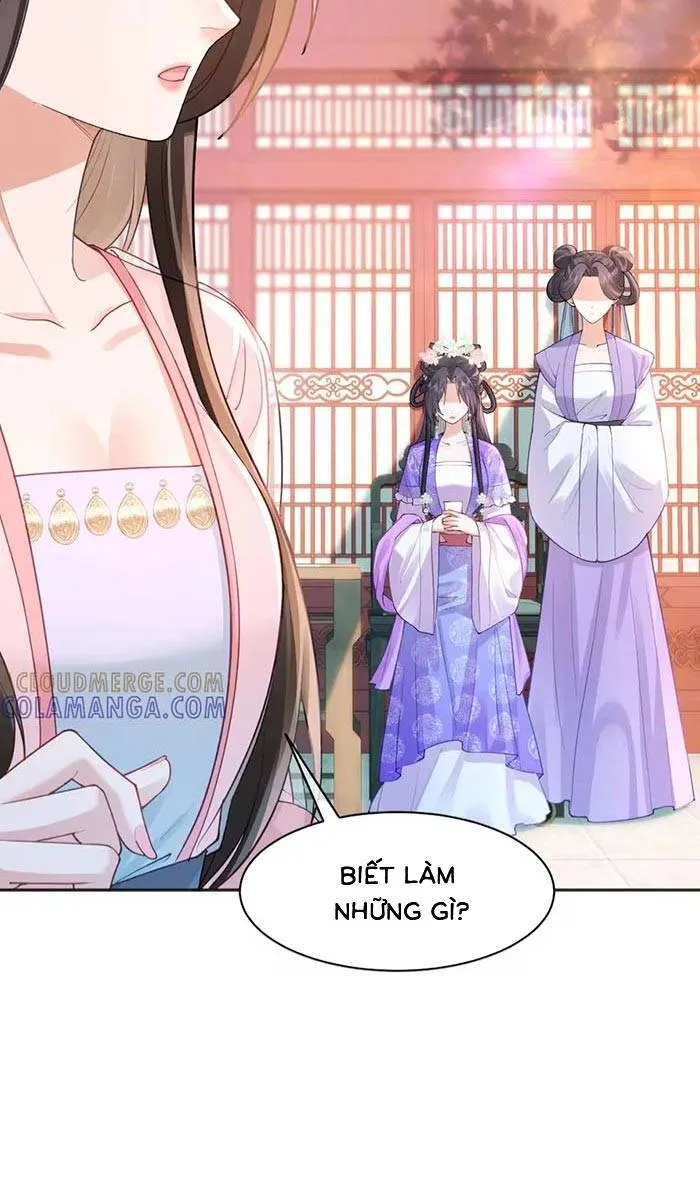 Sau Khi Báo Thù Tỷ Tỷ Ta Làm Hoàng Tử Phi Chapter 17 - Trang 9