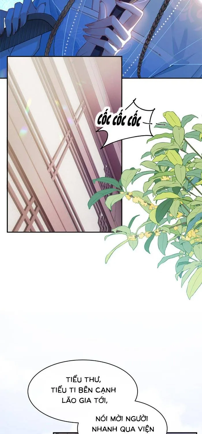 Sau Khi Báo Thù Tỷ Tỷ Ta Làm Hoàng Tử Phi Chapter 2 - Trang 10