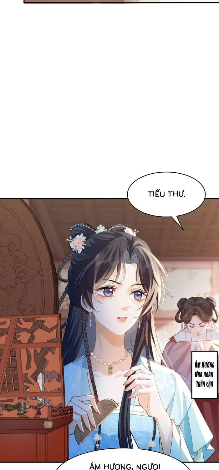 Sau Khi Báo Thù Tỷ Tỷ Ta Làm Hoàng Tử Phi Chapter 2 - Trang 3