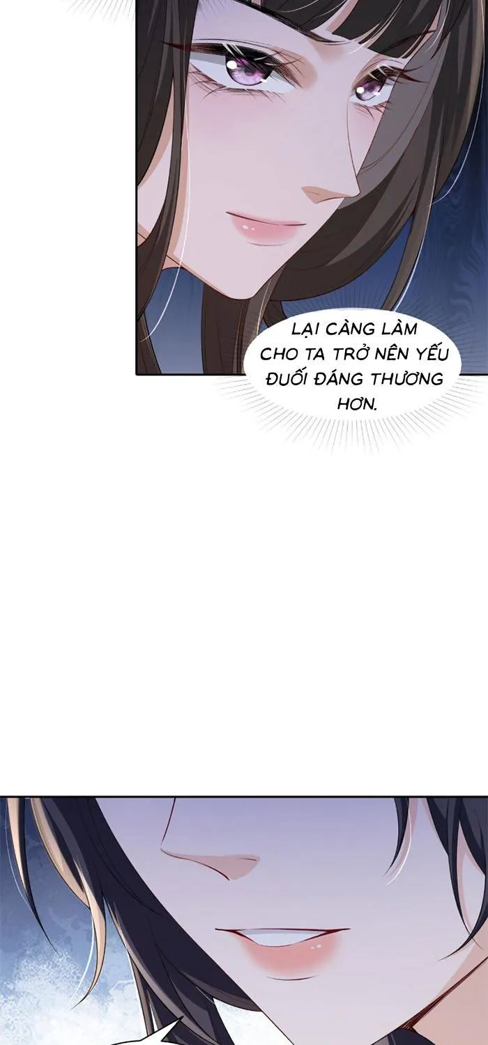 Sau Khi Báo Thù Tỷ Tỷ Ta Làm Hoàng Tử Phi Chapter 3 - Trang 17