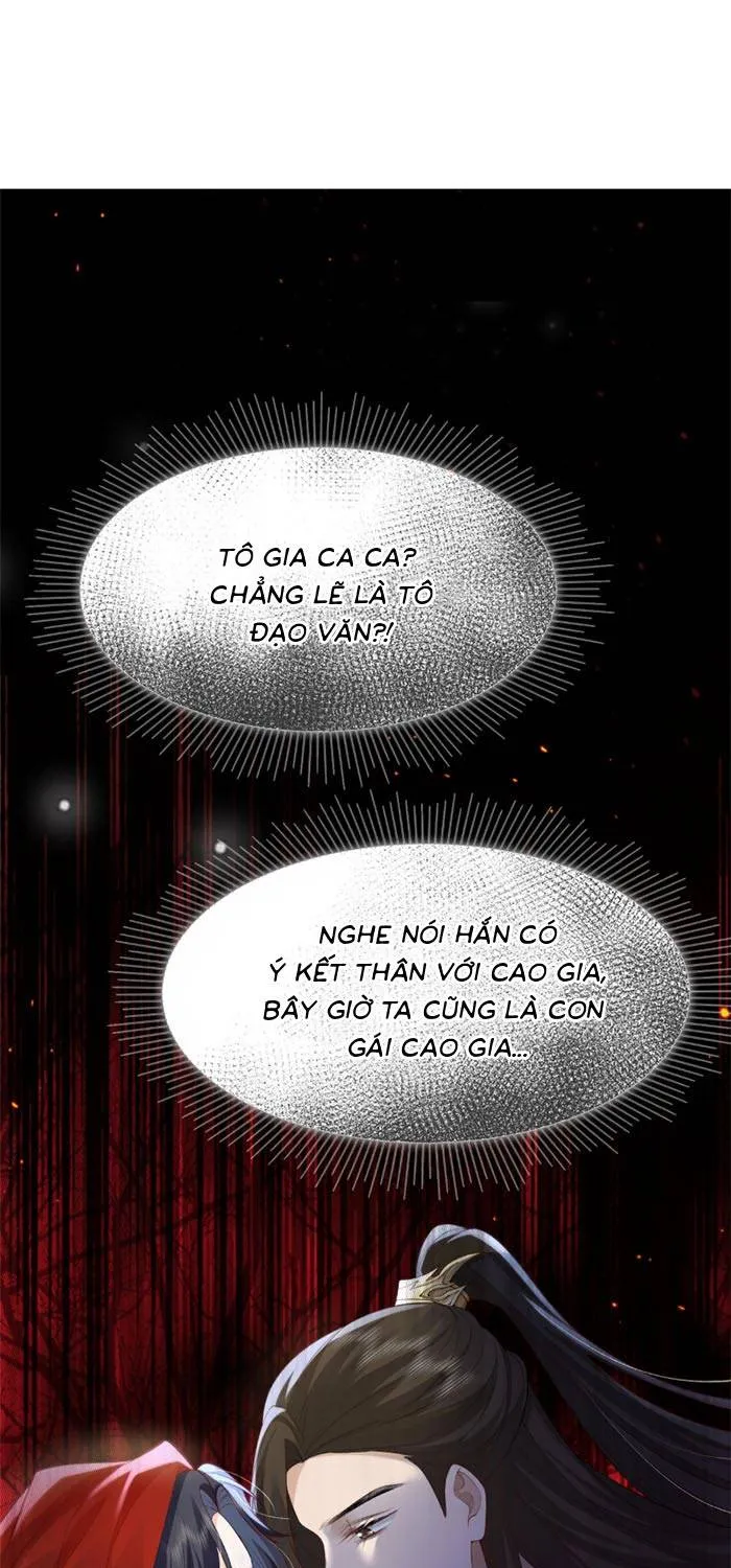 Sau Khi Báo Thù Tỷ Tỷ Ta Làm Hoàng Tử Phi Chapter 3 - Trang 21