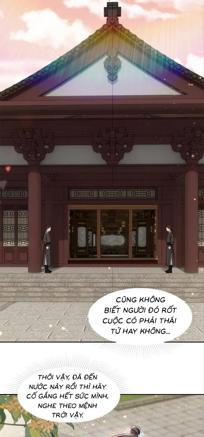 Sau Khi Báo Thù Tỷ Tỷ Ta Làm Hoàng Tử Phi Chapter 5 - Trang 12